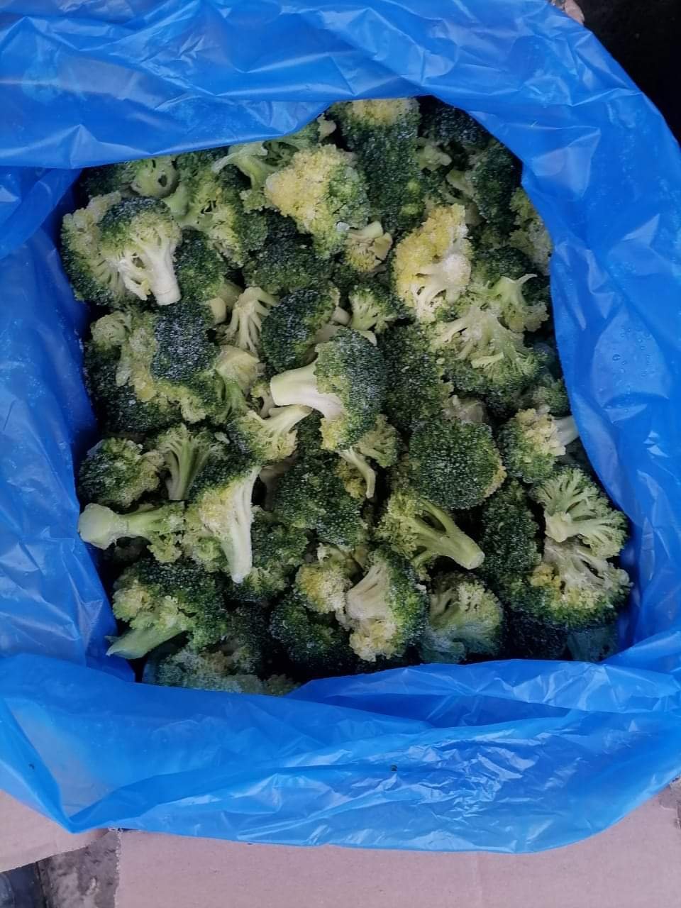 IQF frozen broccoli florets in a large blue bag inside a shipping box.