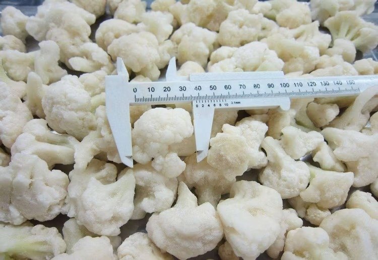 Clean, white IQF frozen cauliflower florets being measured for size.