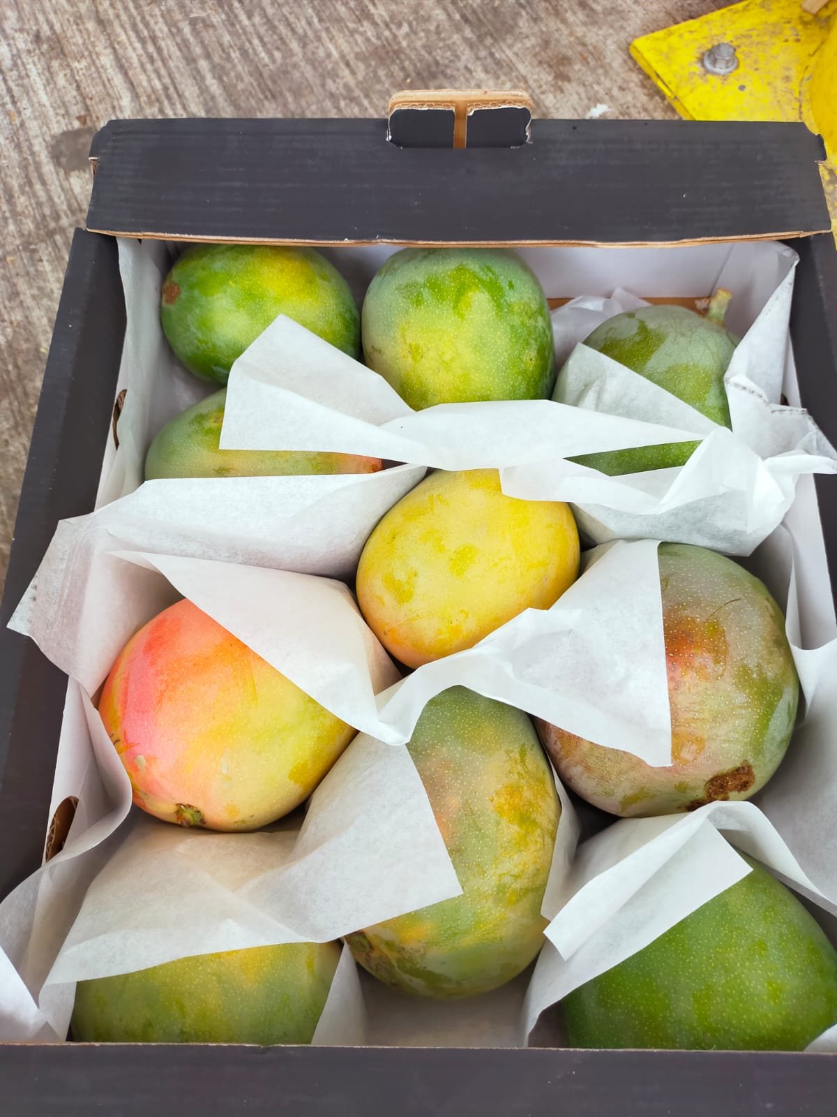 Perfectly ripe Egyptian mangoes, displaying a golden-red blush.