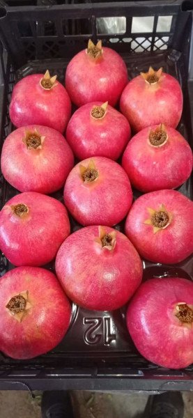 Deep red pomegranates, with one cut open to show the seeds.