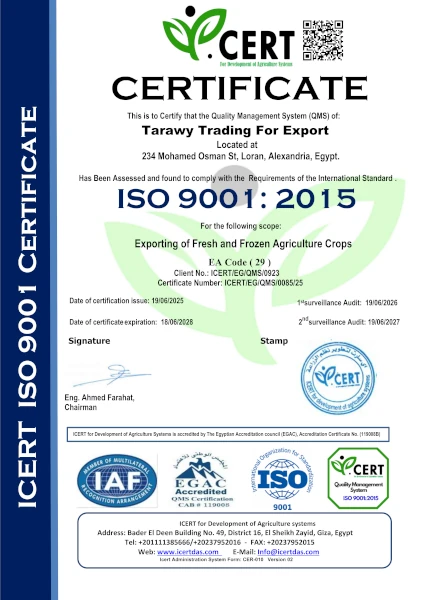 Tarawy Trading ISO 9001:2015 Certificate